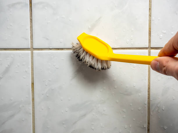 Mold Testing and Removal in Langston, OK
