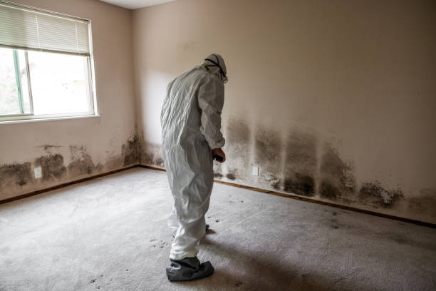 Best Professional Mold Removal  in Langston, OK